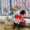 犬 服 着物 和服 小型犬 ペット 春夏 猫 お散歩 祭り レッド グリーン かわいい おしゃれ