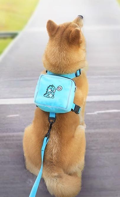 犬用 ハーネス リュック チェストストラップ かわいい 散歩 イエロー グリーン