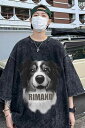 tシャツ 犬柄 コリー 半袖 プリント メンズ カップル 綿 ラウンドネック ゆったり カジュアル 黒 カーキ 緑