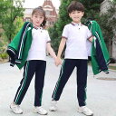 キッズ 子供 セットアップ ジャージ 運動着 男の子 女の子 カジュアル ポロシャツ スカート レッド グリーン 黄緑
