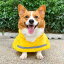 犬 レインコート 小型犬 中型犬 大型 カッパ 雨具 ドッグウェア ペット 服 防水 雨の日 ポンチョ マント イエロー ピンク