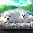 リアル 犬 ぬいぐるみ 男の子 女の子 メンズ レディース かわいい 装飾 車 アクセサリー センターコンソール 小型 人形