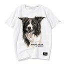 tシャツ 犬柄 半袖 コリー プリント コットン ラウンドネック カジュアル 大きいサイズ 春夏 ゆったり ホワイト グレー