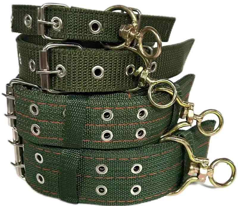 首輪 犬 大型犬 中型犬 小型犬 ゴールデンレトリバー シェパード カバー グリーン