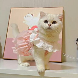 犬服 ドレス スカート ワンピース ドッグウェア かわいい おしゃれ ペット 猫 猫 夏 ピンク イエロー ブルー