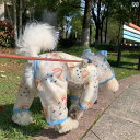 犬 レインコート 小型犬 中型犬 大型 カッパ 雨具 ドッグウェア ペット 服 防水 透明 レインボー マント ポンチョ ブルー イエロー レッド