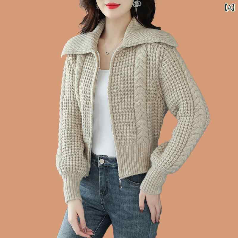 ˥å ǥ  ǥ 奢    ȥåץ ֥롼  ١ 硼