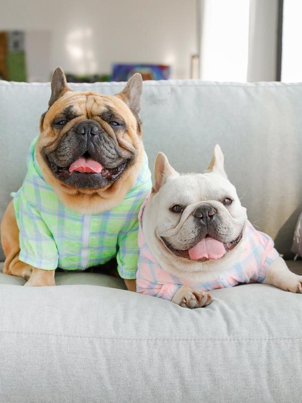 犬服 シャツ ドッグウェア かわいい おしゃれ ペット 夏 チェック 小型犬 ピンク グリーン