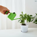 じょうろ 小さい ミニ ジョーロ 水差し 園芸 水やり ガーデニング ステンレス やかん 円筒形 鉢植え ウォーターディスペンサー グリーン シルバー