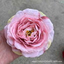 造花 シャクヤク 牡丹 カメリア 花頭 ウェディング 結婚式 披露宴 パーティー イベント 会場装飾 アーチ 祭壇 ブライダル 通路装飾 豪華 ボリューム アートフラワー 絹製 フェイクフラワー 豊富なカラーバリエーション