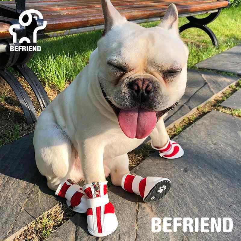 犬 靴 ドッグシューズ アウトドア ハイキング かわいい 小型犬 中型犬 脱げにくい 滑り止め ペット フ..