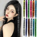 ヘアピース レディース 女性用 エクステ ハイライト グラデーション ヒョウ柄 レオパード イヤリングカラー インナーカラー ロング ストレート カラーメッシュ 派手髪 耐熱ファイバー 簡単装着 クリップ式 1枚タイプ 普段使い イベント イメチェン