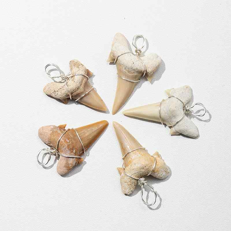 ペンダント 天然 モロッコ 産 鮫の歯 海洋化石 標本 銀糸 手編み マリン ユニークデザイン アンモナイト コレクターズアイテム メンズ レディース 普段使い