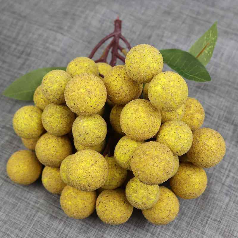 GramsŷԾŹ㤨֥եե롼Ķ ε 饤 ֥롼٥꡼ ꡼ ¤ʪ ȯˢ  Ѿʪ ƥꥢ ǥץ쥤 Ź ʥץ ٥ȾפβǤʤ4,065ߤˤʤޤ