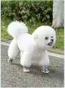 犬 靴 ドッグシューズ ペット 防水 脱げにくい スポーツ かわいい 小型 4足 フットカバー ブラック ブルー ピンク
