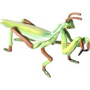 模型 子供 3歳 8歳 リアル 精巧 野生動物 おもちゃ 昆虫 虫 カマキリ フィギュア 学習 知育 観察 誕生日 プレゼント ギフト コレクション ディスプレ...