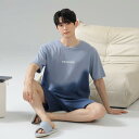 パジャマ メンズ ルームウェア 男性用 綿100% 半袖 ショートパンツ 上下セット クルーネック ゆったり 薄手 通気性 快適 カジュアル ワンマイルウェア 部屋着 普段使い おうち時間