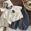 キッズ 男の子 夏用 ゾウ キャラクター 半袖Tシャツ ストライプ ロングパンツ セットアップ 上下セット ゆったり 薄手 綿 コットン やわらか加工 普段着 部屋着 通園着 快適 2点セット