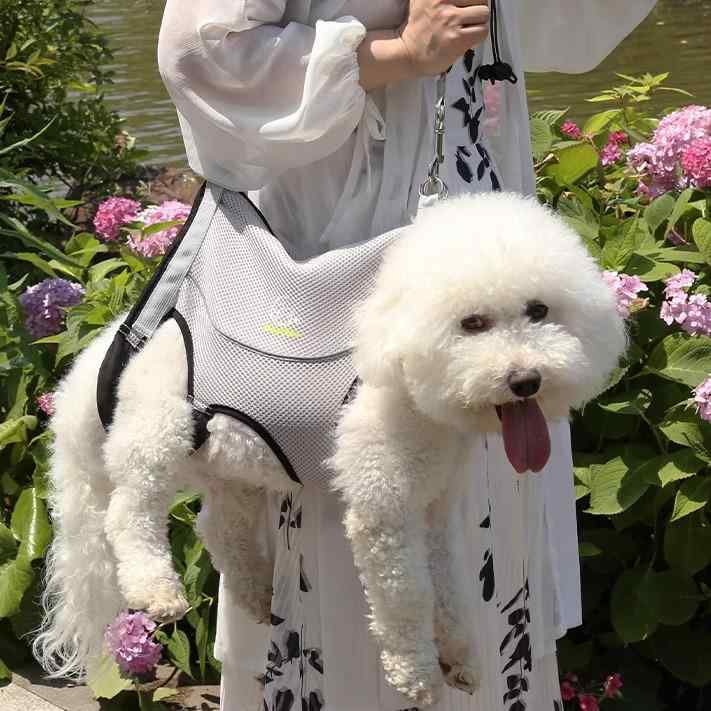 抱っこひも 犬 ペットキャリー 介護 歩行補助ハーネス 後ろ足 散歩用 持ち運び メッシュ バッグ グレー