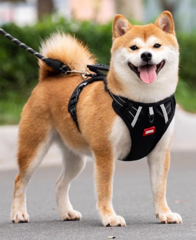 犬 リード ハーネス 胴輪 中型犬 大型犬 牽引ロープ ハーネス 散歩紐 抜け防止 ベスト式 リード ペット..