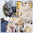 猫 犬 首輪 おしゃれ パール ネックレス 宝石 デコレーション アクセサリー ピンク ブルー レッド