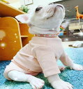 猫 犬 小型 中型 首輪 おしゃれ ペット用品 ネックレス パール チョーカー アクセサリー ピンク シルバー グリーン