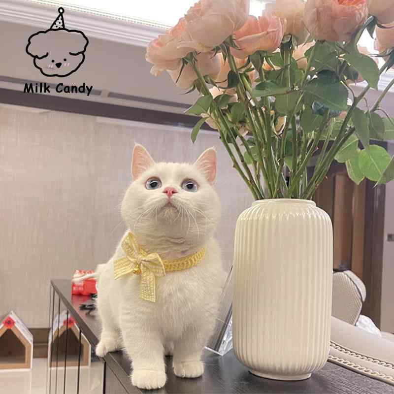 猫 犬 首輪 おしゃれ レース チョーカー ペット用品 鈴付き ネックレス アクセサリー 風 リボン イエロ..