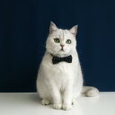 猫 犬 ウサギ 首輪 おしゃれ レース ペット用品 イギリス風 チェック 蝶ネクタイ 調節可能 窒息防止 バックル チョーカー アクセサリー ブラック ピンク グレー