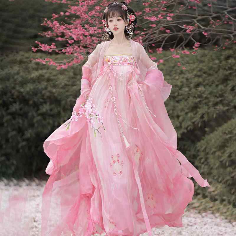 漢服 レディース 斉胸襦裙 大袖衫 セット 満天花雨 唐風 花柄 プリント シアー メッシュ 上品 エレガント きれいめ 日常使い 普段着 お出かけ ゆったり 春夏 ピンク ブルー ポリエステル レーヨン混紡