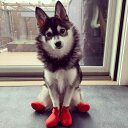 犬用靴 ドッグシューズ 小型犬 中型犬 大型犬 シリコン製 ゴム製 レインブーツ 防水 防滑 脱げにくい 汚れ防止 冬用 散歩 雨の日 雪道対応 かわいい ペッ...