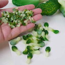 ミニチュアフード おままごと ドールハウス用 野菜 肉 魚介 卵 など 多種多様 食材パーツ DIY 手作り リアル 精巧 食品サンプル 模型 ごっこ遊び 小物