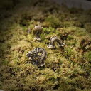 置物 ミニチュア 龍 縁起物 合金製 中華風 卓上飾り 盆栽 箱庭 テラリウム ジオラマ インテリア雑貨 フィギュア オブジェ 精巧 工芸品(x2)