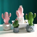置物 北欧 フェイクグリーン 仙人掌 サボテン 観葉植物 リビング オフィス デスクトップ 卓上飾り ミニ盆栽 室内装飾 おしゃれ ユニーク 樹脂製 プラスチッ...