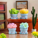 置物 ミニチュア 苔 テラリウム 観葉植物 サボテン フェイクグリーン DIY デスク 卓上 インテリア 飾り オブジェ 樹脂製 かわいい 小さい リアル