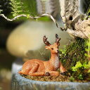 マイクロガーデン 置物 フクロウ ミニチュア 動物 多肉植物 盆栽 飾り テラリウム ジオラマ 樹脂製 かわいい アニマル インテリア 雑貨(x2)
