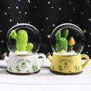 スノードーム 子供 キッズ じょうろ サボテン 植物 光る LEDライト内蔵 クリスタルボール 置物 オーナメント 誕生日 プレゼント ギフト おもちゃ 樹脂製...