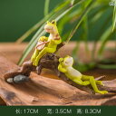 置き物 ミニチュア カエル 銅銭 縁起物 水耕栽培 テラリウム 多肉植物 盆栽 ベランダ ガーデン 装飾 樹脂製 小型 モダン シンプル オブジェ