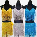 ダンス衣装 レディース ベリーダンス インドダンス ジャズダンス ステージ 発表会 練習用 レッスンウェア スパンコール フリンジ ブラトップ ヒップスカーフ ...