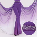 ウエストサッシュ レディース グラデーションカラー ロングサッシュ ダンス レッスン用 体型カバー 姿勢サポート ウエストマークベルト スタイルアップ プロ仕様...