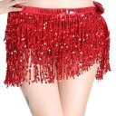 ベリーダンス レディース ウエストチェーン ヒップスカーフ きらきら タッセルベルト 練習着 インドダンス衣装 発表会 多用途 多色展開 幅広ベルト