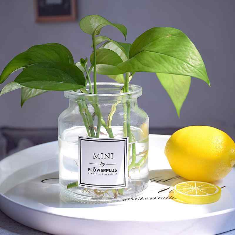 花瓶 透明 ガラス製 ミニ フラワーベース 高級感 北欧スタイル おしゃれなインテリア 観葉植物 水耕栽培 水培 卓上用 小さめ 花器