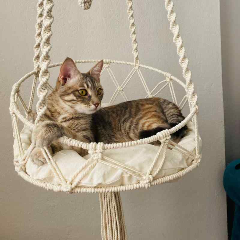 猫用ベッド キャットハウス 猫用ハンモック ボヘミアン 編み込み マクラメ 北欧風 タペストリー ネット メッシュ 吊り下げ ブランコ スイング オールシーズン 四季通用 快適 休憩 おしゃれ 丈夫