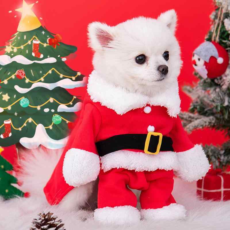 ペット用 クリスマス 正月 変身服 犬 猫 かわいい ドッグウェア キャットウェア イベント 記念撮影 マ..