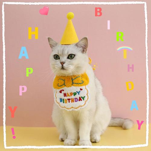 帽子 ペット用 猫 頭飾り コーギー ヘッド かわいい ペット 誕生日 ドレス よだれかけ 犬 小道具