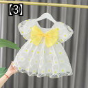女の子 夏 ドレス かわいい ワンピース 子供服 キッズ ガールズファッション プリンセスドレス 赤ちゃん ドレス ガール 外国風 サマー スカート