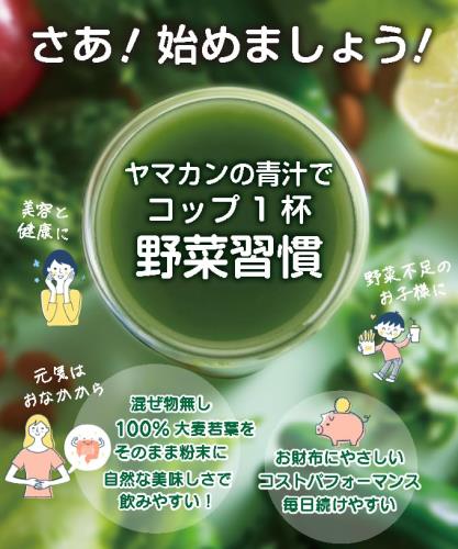 グラムスキー薬局 楽天市場店の山本漢方製薬 大麦若葉粉末100% 3g×88包｜アングル3