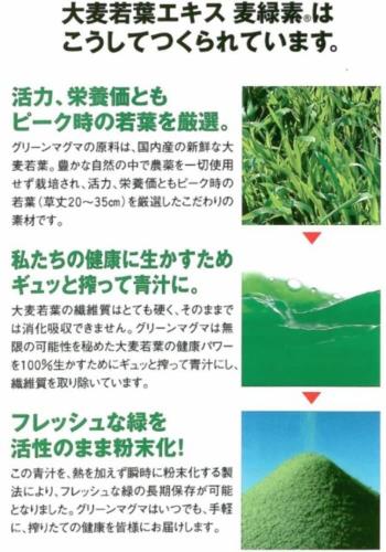 グラムスキー薬局 楽天市場店の日本薬品開発株式会社 大麦若葉エキス グリーンマグマ 170g｜アングル3
