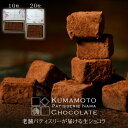 【楽天スーパーセール 10%OFF】 生チョコ チョコレート チョコ 生チョコレート 生クリーム お菓子 スイーツ 洋菓子 詰め合わせ プレゼント ギフト プチギフト 高級 おしゃれ ご褒美 手土産 お配り 退職 お礼 お返し お祝い 誕生日 父の日 2025 『生チョコ 10粒入・20粒入』