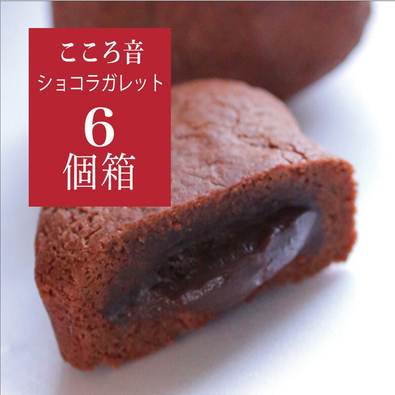チョコレート 生チョコ ガトーショコラ 『 こころ音ショコラ 6個入り 』ギフト 詰め合わせ セット 七五三 お歳暮 御歳暮 クリスマス 冬ギフト 2025 ス...