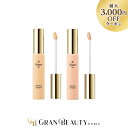 \最大3,000円OFF/エレガンス スマートフィニッシュ〈PK100/IV300/NA200〉 17g ファンデーション Elegance